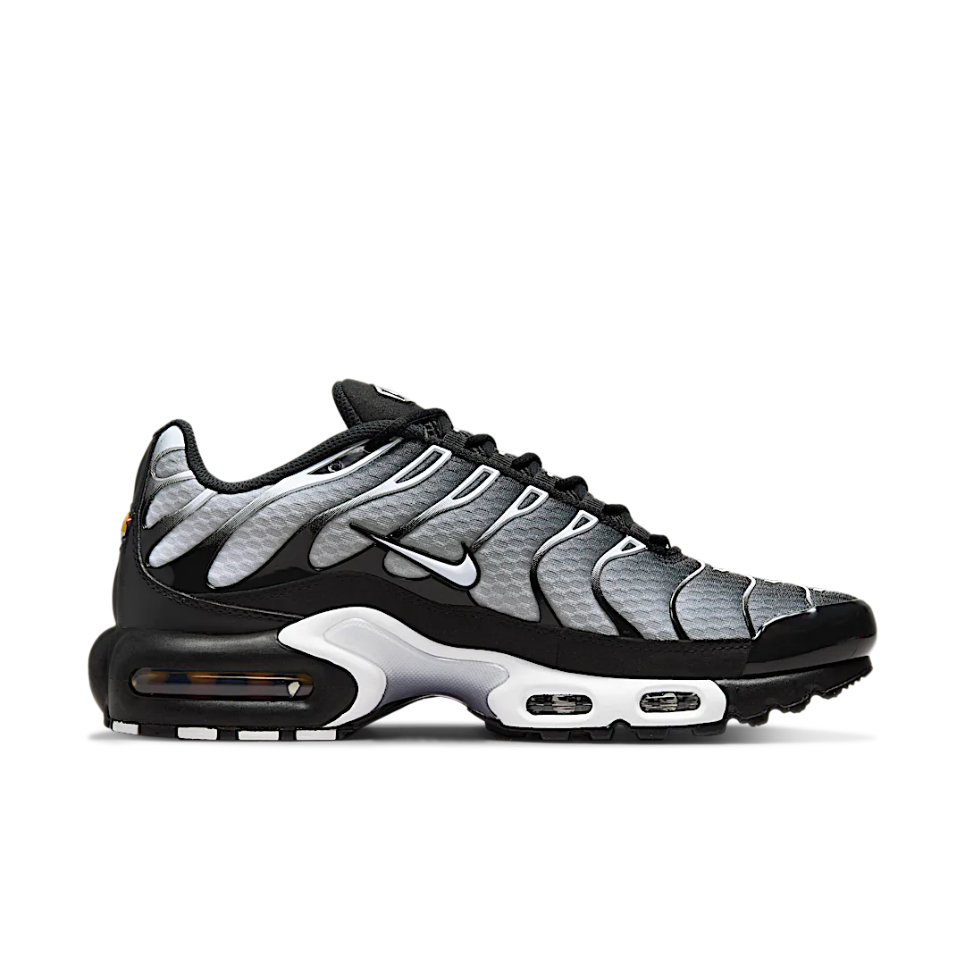 Nike Air Max Plus Black Silver White