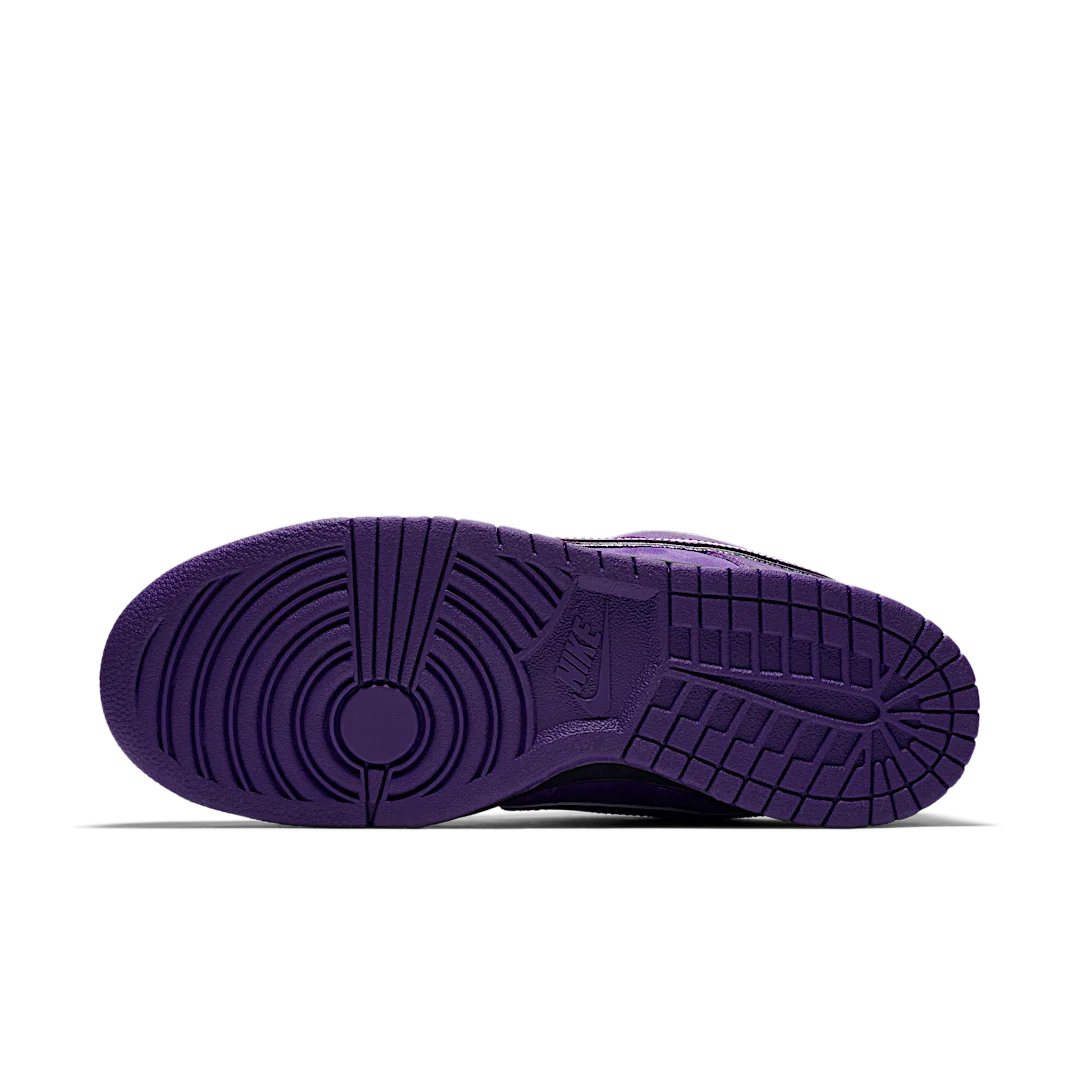 Nike SB Dunk Low Concepts Purple Lobster