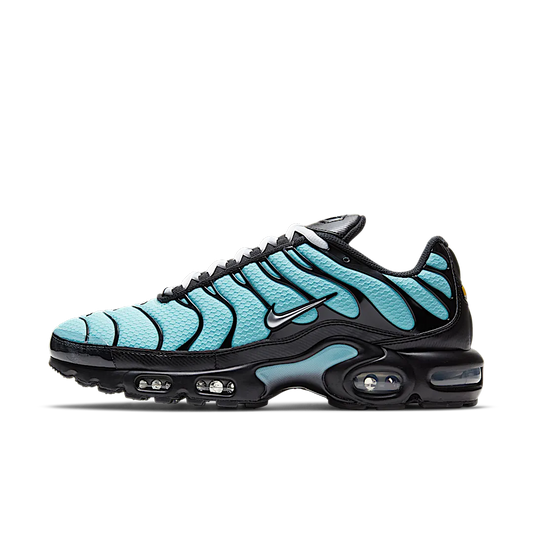 Nike Air Max Plus Aqua Blue