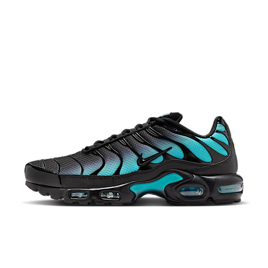 Nike Air Max Plus Black Dusty Cactus