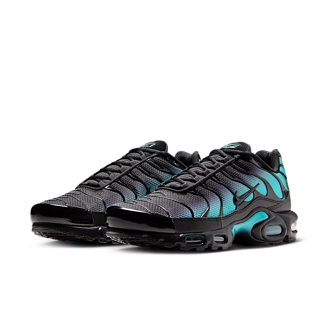 Nike Air Max Plus Black Dusty Cactus