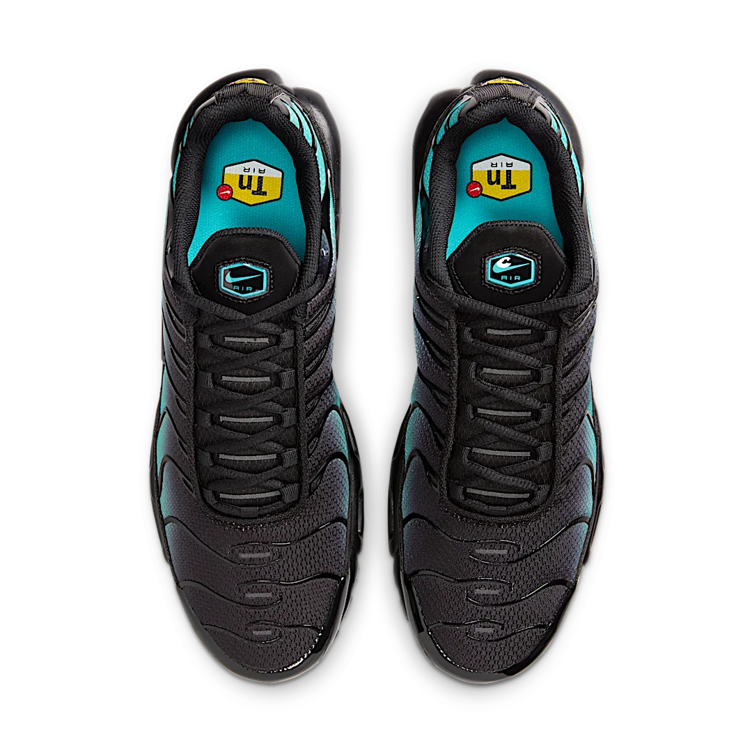 Nike Air Max Plus Black Dusty Cactus