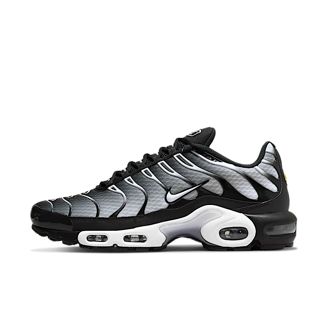 Nike Air Max Plus Black Silver White