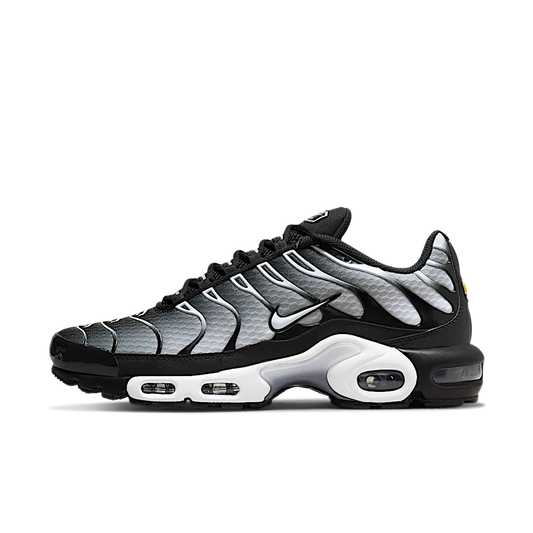 Nike Air Max Plus Black Silver White