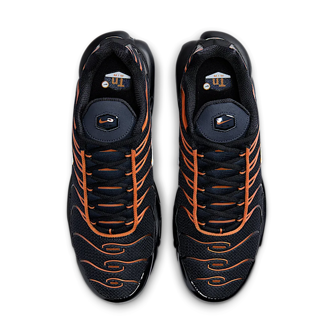 Nike Air Max Plus Dark Obsidian Monarch