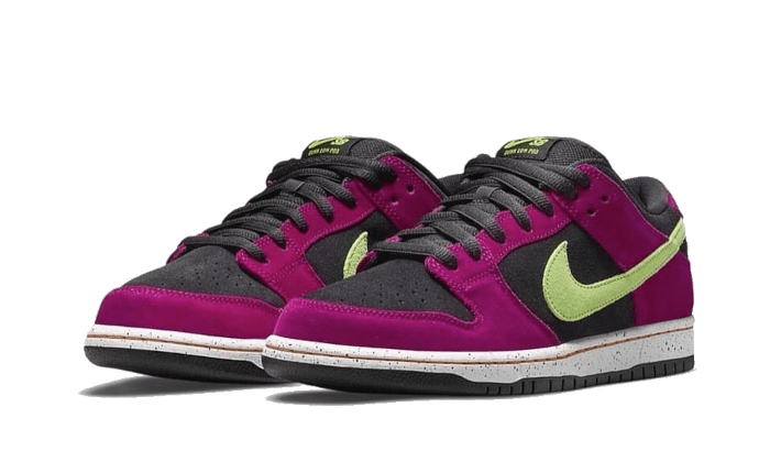 Nike SB Dunk Low Pro ACG Terra Red Plum